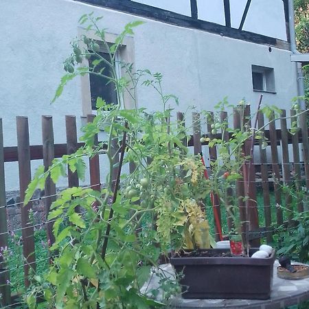 Zum Stillen Himmelbett In Lichtenwalde Niederwiesa Extérieur photo