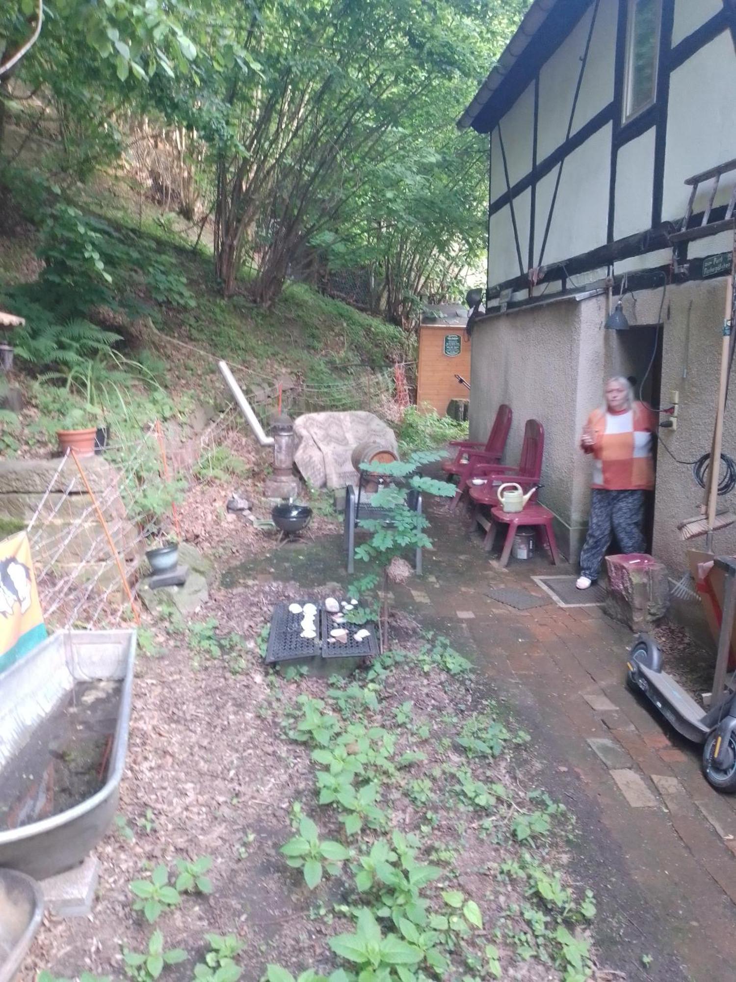 Zum Stillen Himmelbett In Lichtenwalde Niederwiesa Extérieur photo